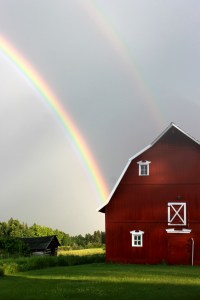 rainbow over barn / rejoicing hills
