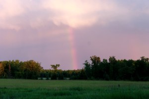 rainbow / rejoicing hills