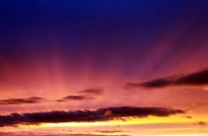 summer sunset / rejoicing hills