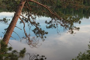 pine over lake / rejoicing hills