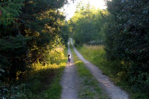 country lane / rejoicing hills