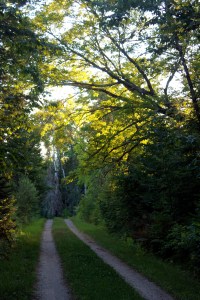 country lane / rejoicing hills