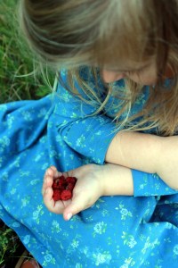 handful of raspberries / rejoicing hills