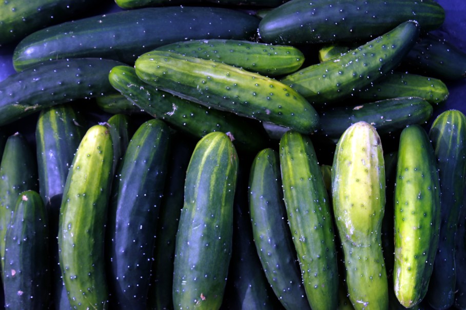 cucumbers / rejoicing hills