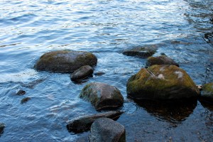 rocks in the water / rejoicing hills
