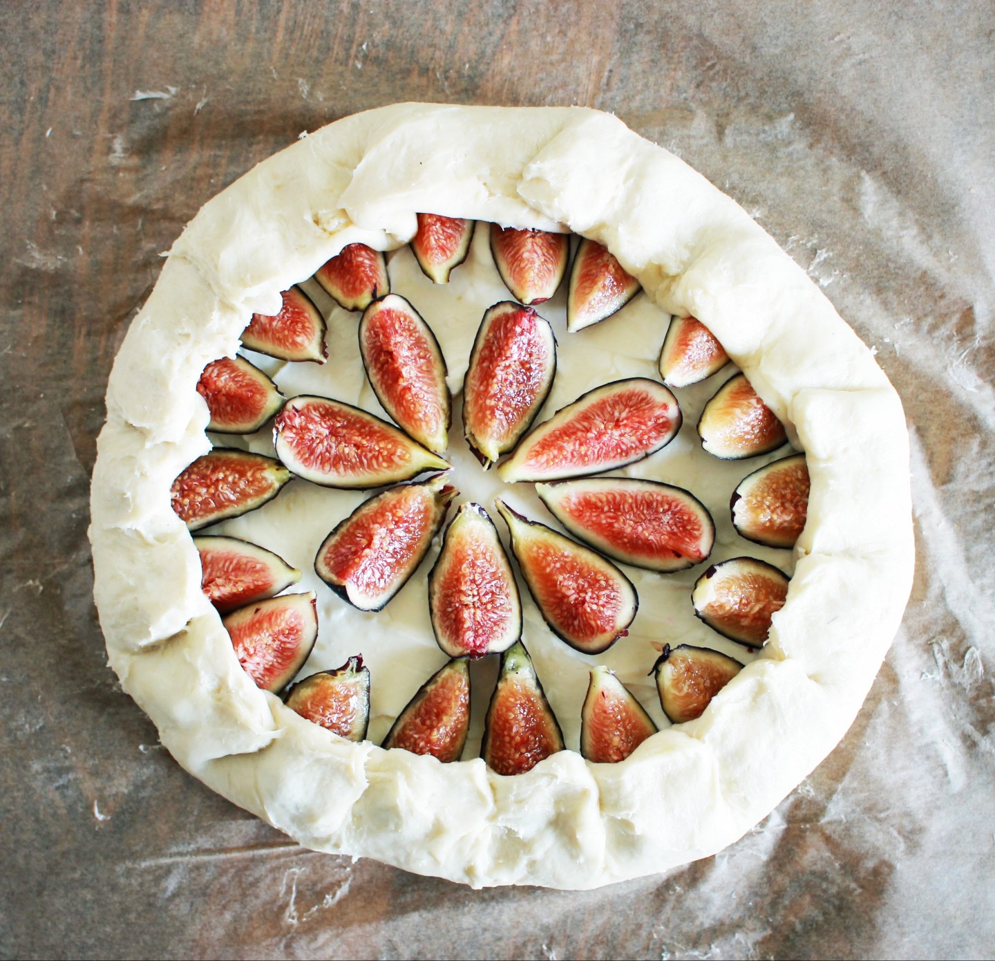 Easter Week: Lessons from the Fig Tree – Rejoicing Hills